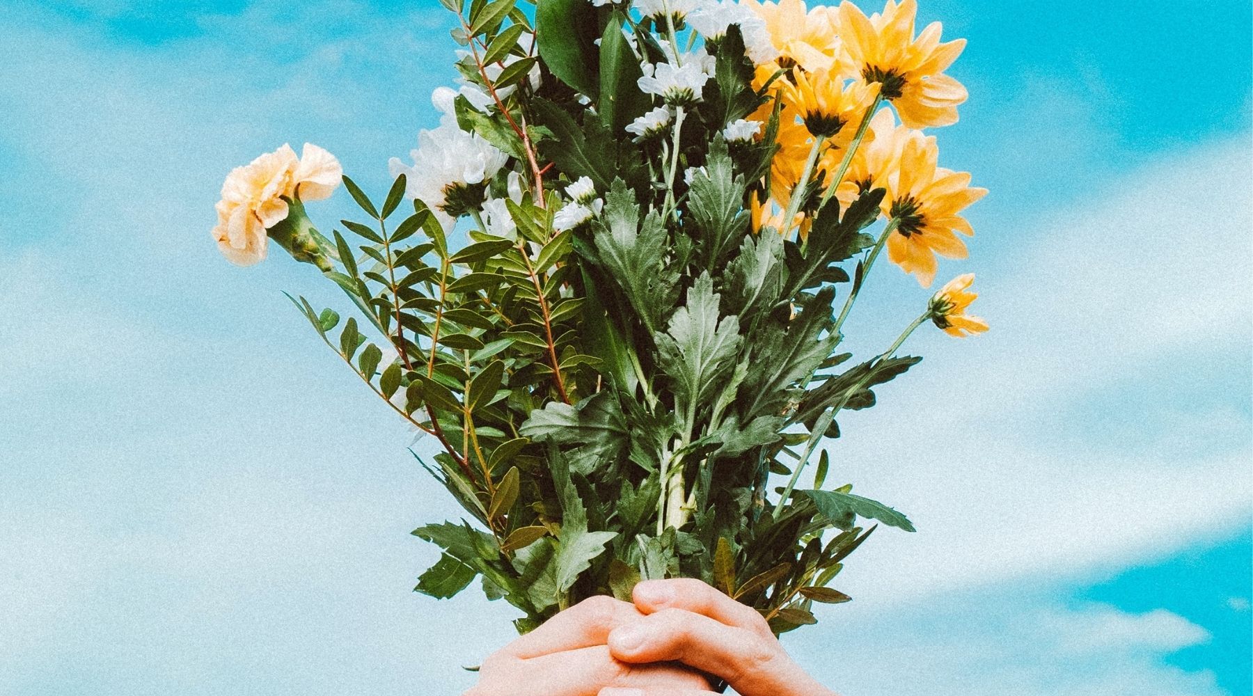 7 consejos para llegar con un buen pelo a la primavera