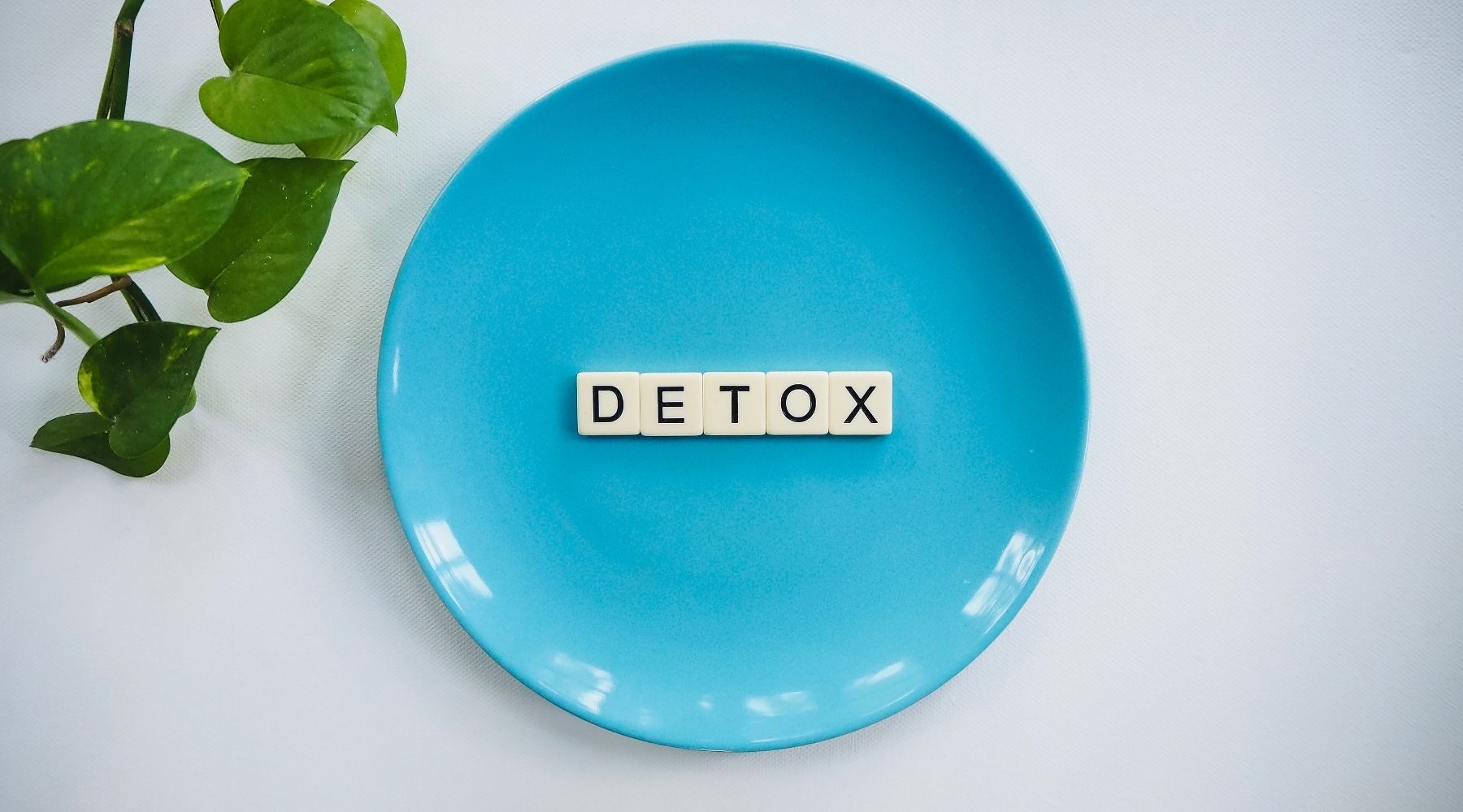 detox cabello